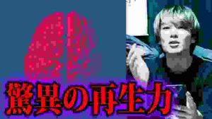 脳が半分失われるとどうなるのか【都市伝説】